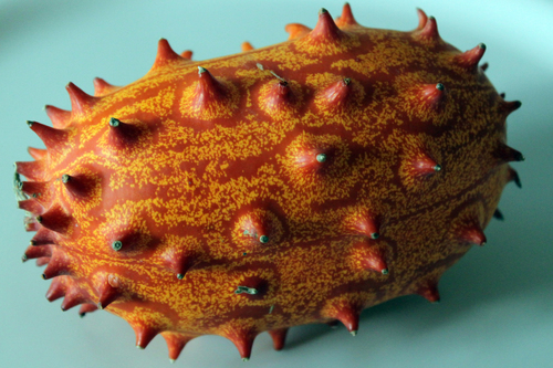 Cucumis metuliferus