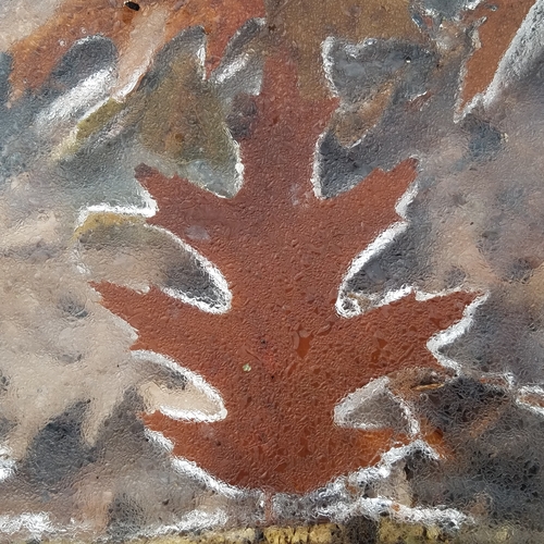 Quercus borealis