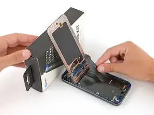 DtVUS12mtXp1TmLw