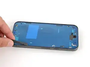 PmijD6eWe1BXCLpX