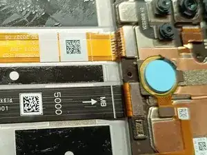 TcBTtJeB5Vw6LgO2