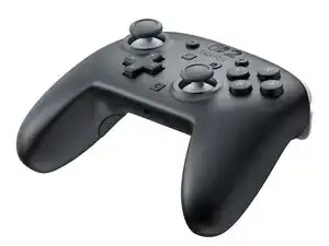 Nintendo Switch 2 Pro Controller